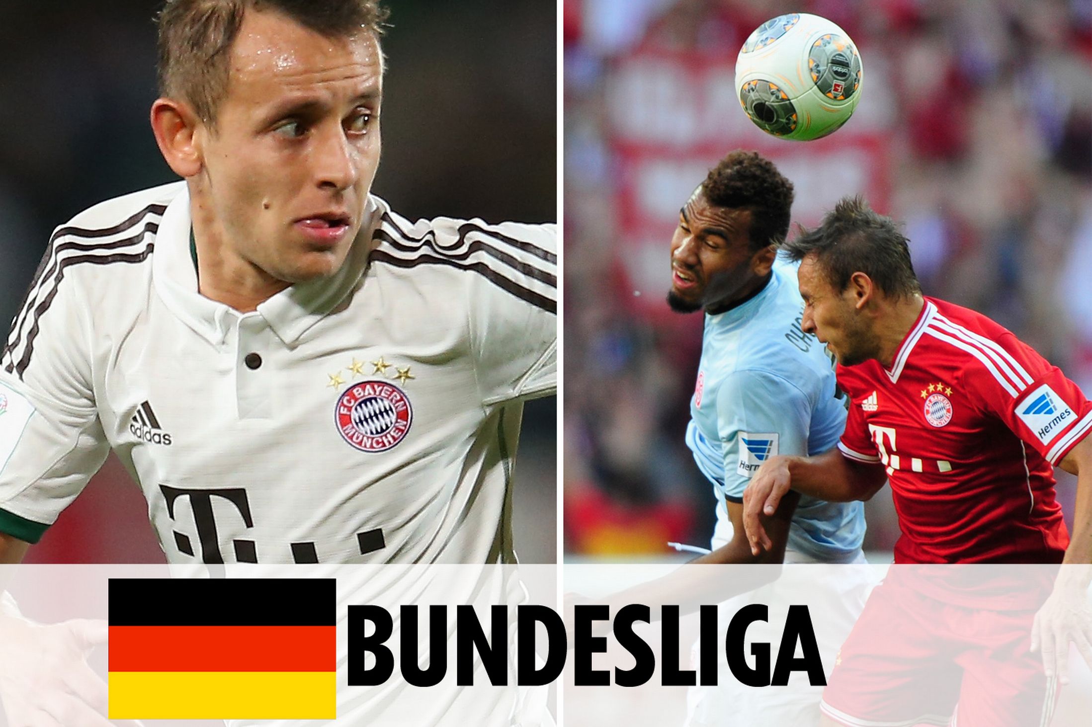 進的領袖 進的領袖